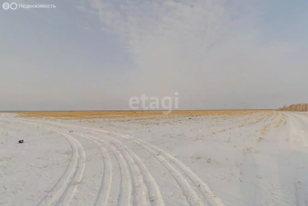 Участок в Красноармейский район, село Канашево (10.5 м) - Фото 1