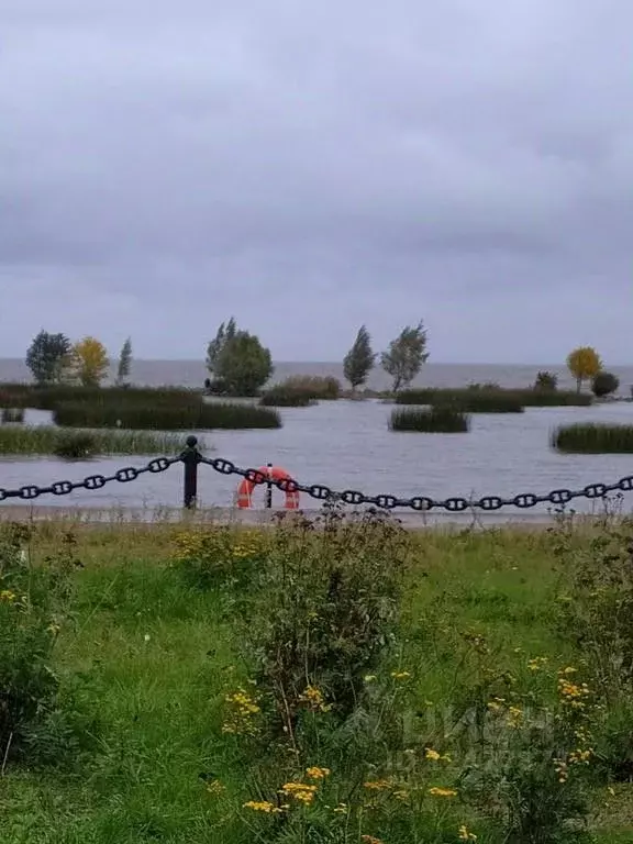 Таунхаус в Санкт-Петербург, Санкт-Петербург, Петергоф ул. Дивеевская, ... - Фото 1