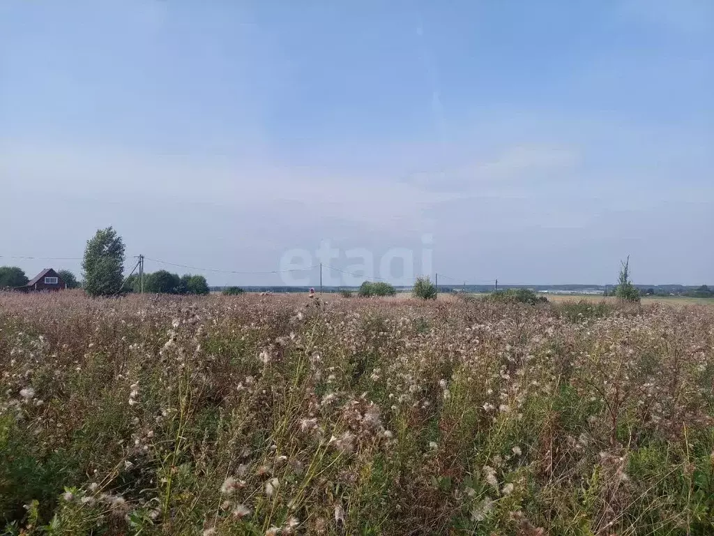 Участок в Вологодская область, пос. Ермаково  (16.22 сот.) - Фото 0