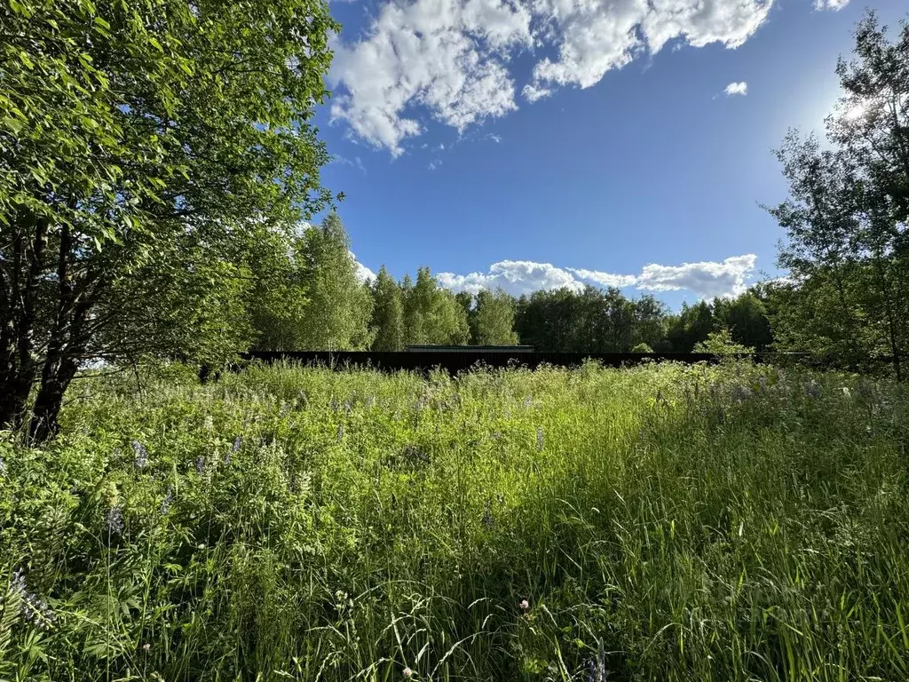 Участок в Московская область, Истра городской округ, д. Холмы  (15.0 ... - Фото 0