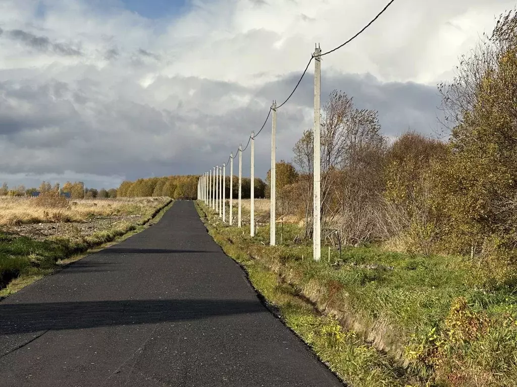 Участок в Ленинградская область, Всеволожский район, Романовское ... - Фото 2