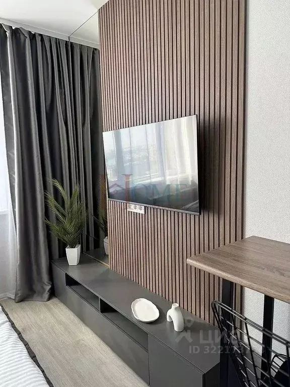 Студия Новосибирская область, Новосибирск ул. Кирова, 113/2 (20.0 м) - Фото 2