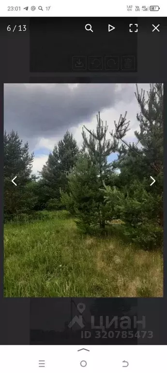 Участок в Ленинградская область, Кингисеппский район, Куземкинское ... - Фото 1