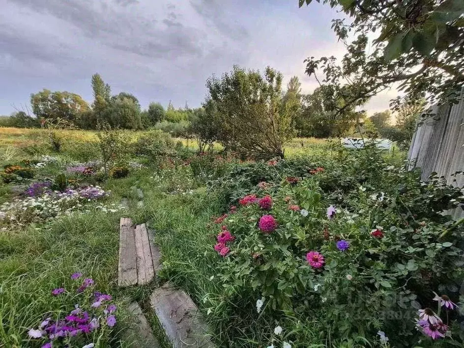 Дом в Белгородская область, Яковлевский муниципальный округ, Томаровка ... - Фото 2