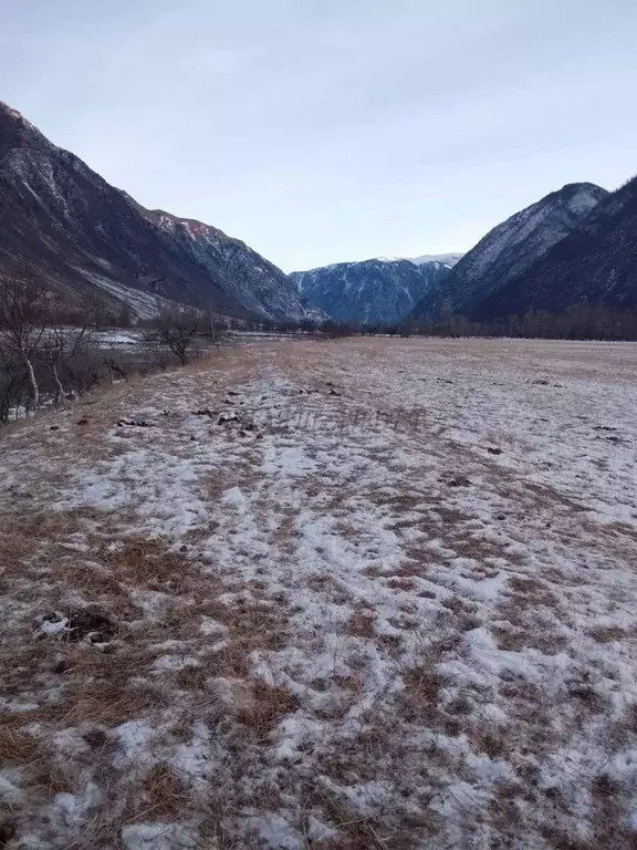 Участок в Алтай, Улаганский район, с. Балыкча Центральная ул. (110.0 ... - Фото 2