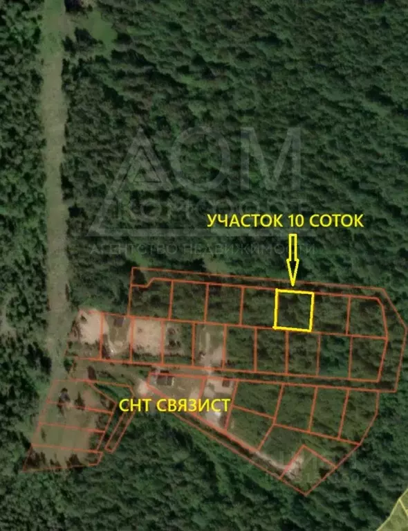 Участок в Ленинградская область, Приозерский район, Ларионовское ... - Фото 2