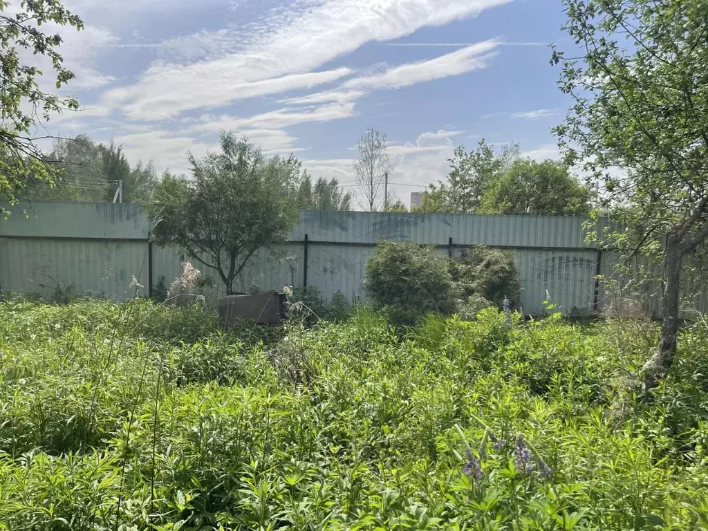 Участок в Московская область, Ивантеевка Пушкинский городской округ, ... - Фото 1