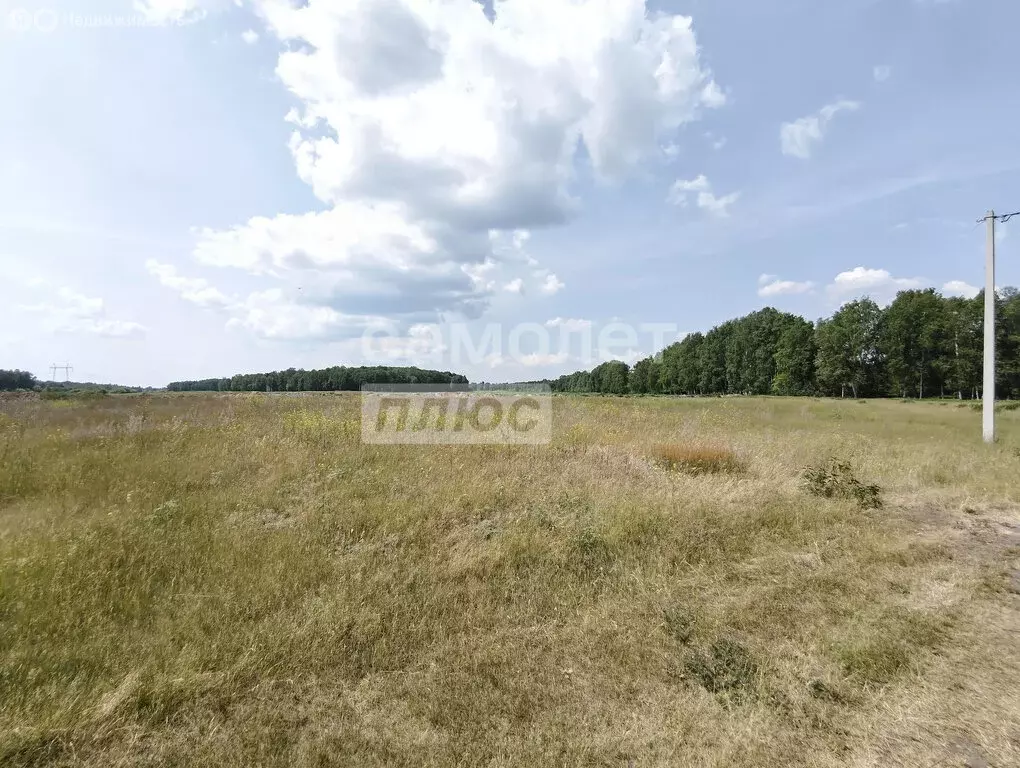 Участок в Тюменская область, Вагайский муниципальный округ, Шестовское ... - Фото 1