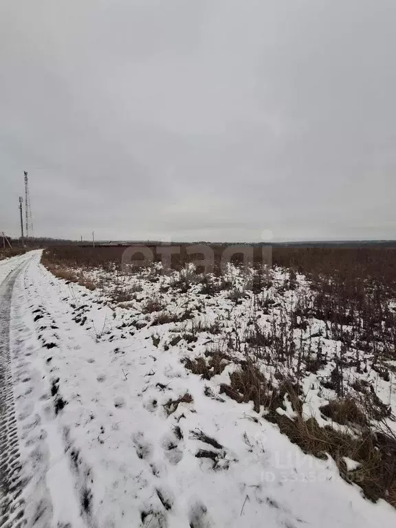 Участок в Тульская область, Веневский муниципальный округ, пос. ... - Фото 1