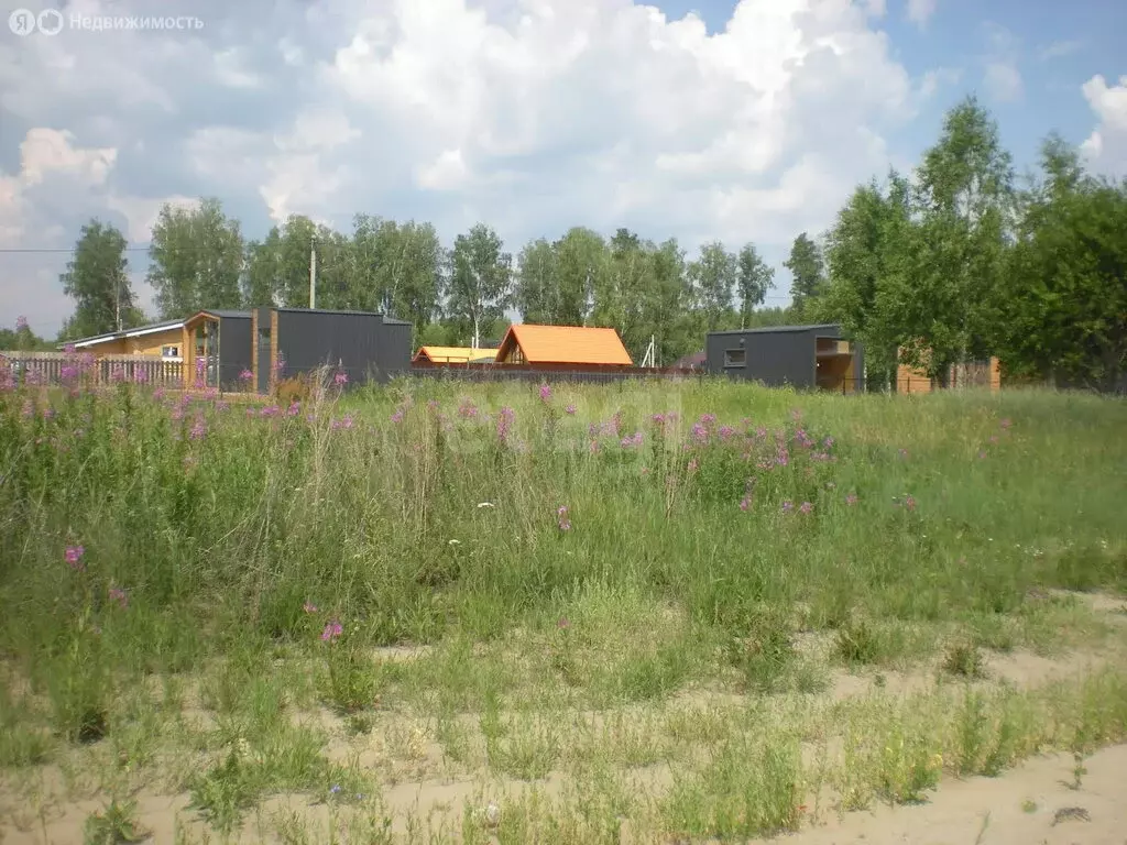 Участок в Свердловская область, Тугулымский муниципальный округ, село ... - Фото 2