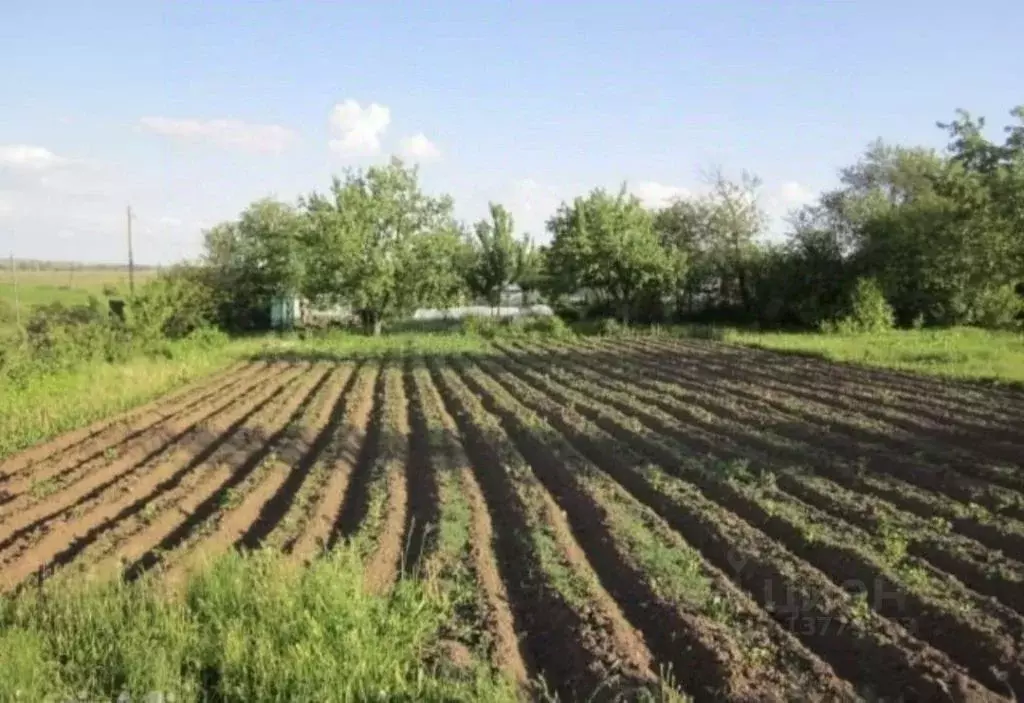 Участок в Владимирская область, Суздальский район, с. Новоалександрово ... - Фото 1