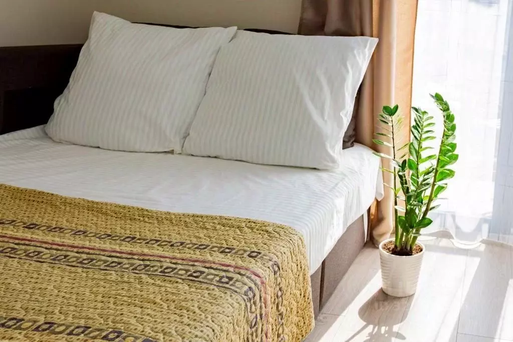 1-к кв. Краснодарский край, Сочи Бытха мкр, ул. Ясногорская, 16/2к3 ... - Фото 2