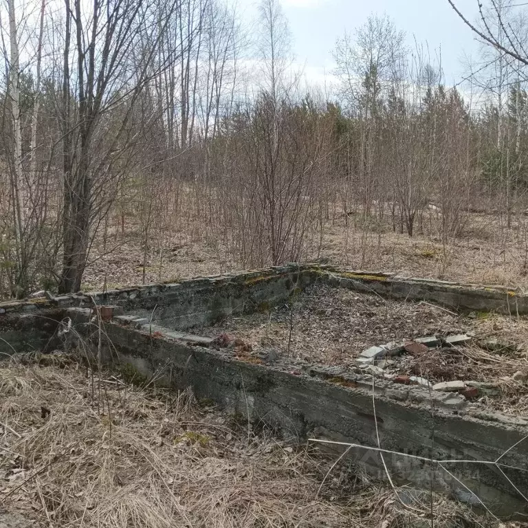 Участок в Иркутская область, Усть-Илимск Парковая СНТ,  (12.0 сот.) - Фото 1