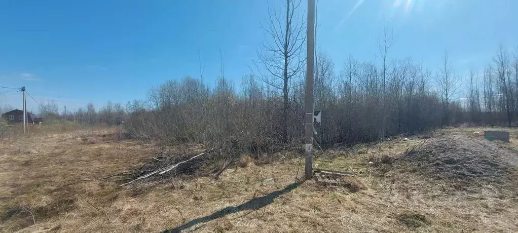 Участок в Новгородская область, Шимск рп ул. Свободы (15.0 сот.) - Фото 1