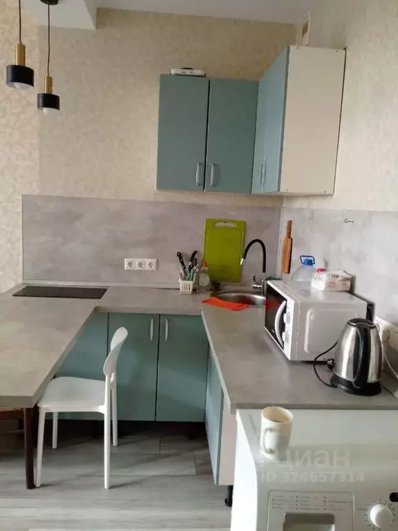 Студия Московская область, Солнечногорск городской округ, Андреевка ... - Фото 2