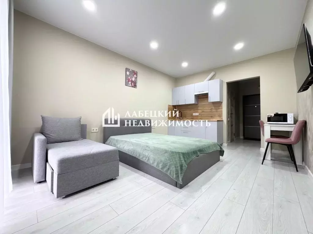1-к кв. Краснодарский край, Сочи ул. Искры, 88к1 (24.9 м) - Фото 1