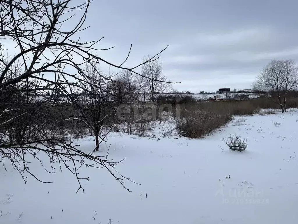 Участок в Воронежская область, Поворинский район, с. Рождественское ... - Фото 1