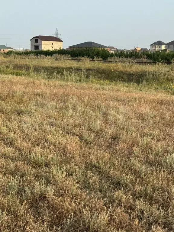Участок 5 сот. (СНТ, ДНП) - Фото 0
