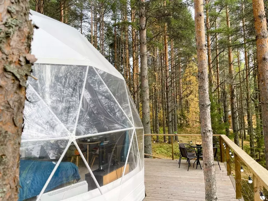 Дом в Карелия, Пряжинский район, Эссойльское с/пос, пос. Сяпся ул. ... - Фото 1