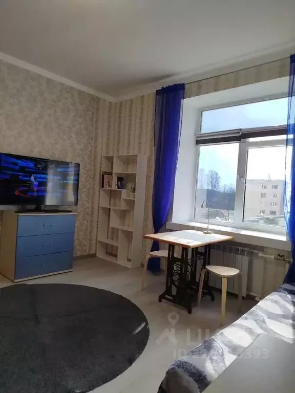 Студия Ленинградская область, Выборг Морская наб., 30 (25.0 м) - Фото 1