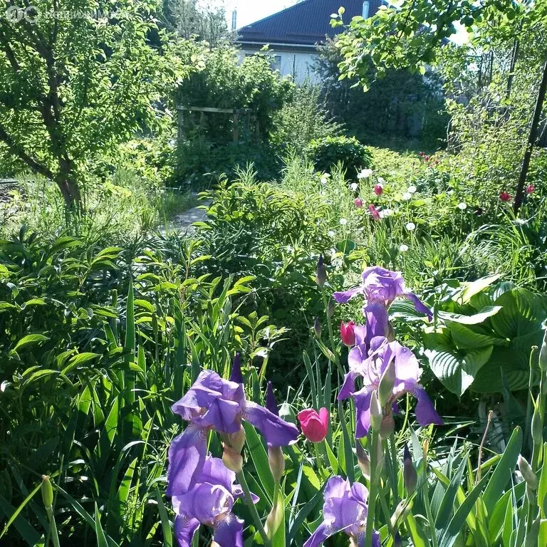 Дом в Волгоград, посёлок Латошинка, Брусничная улица, 27 (36 м) - Фото 1