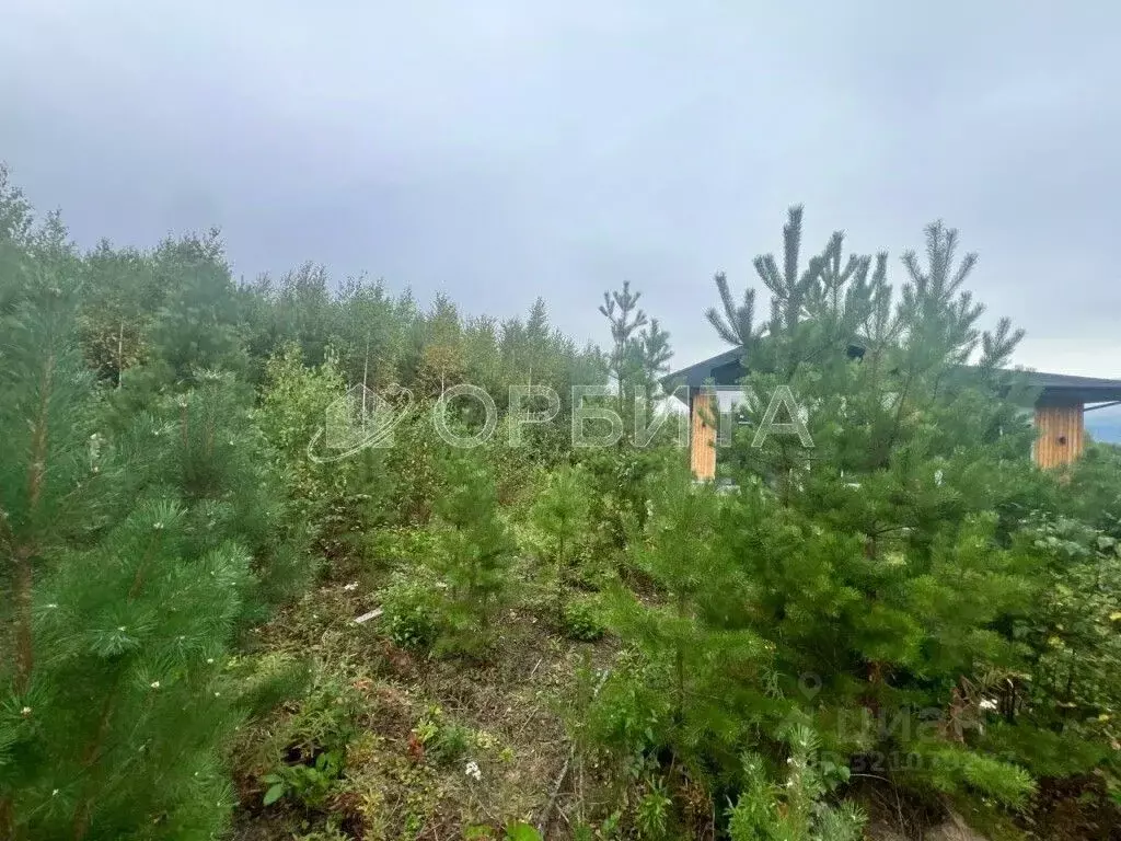 Участок в Тюменская область, Тюменский район, с. Кулига  (10.0 сот.) - Фото 2