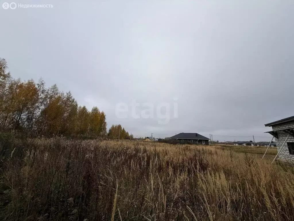 Участок в Кострома, коттеджный посёлок Соколиное Гнездо, 1 (10.4 м) - Фото 2