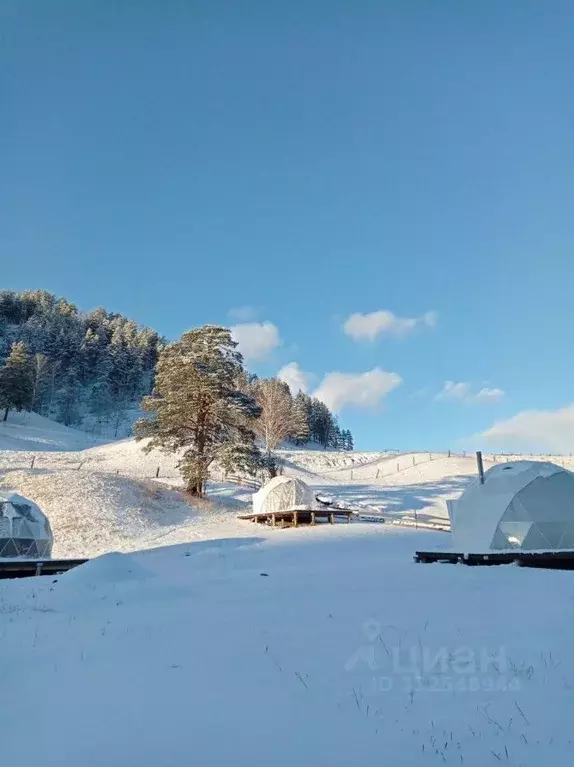 Участок в Алтай, Чемальский район, Узнезинское с/пос, с. Узнезя ул. ... - Фото 0