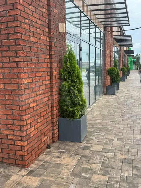 Продажа Готового Арендного Бизнеса. Торговая площа - Фото 1
