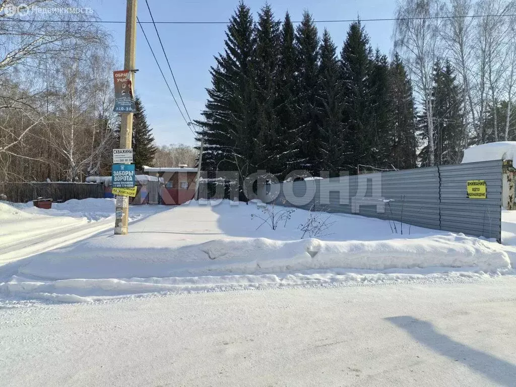 Участок в Новосибирский район, рабочий посёлок Краснообск, СНТ Дружба ... - Фото 2