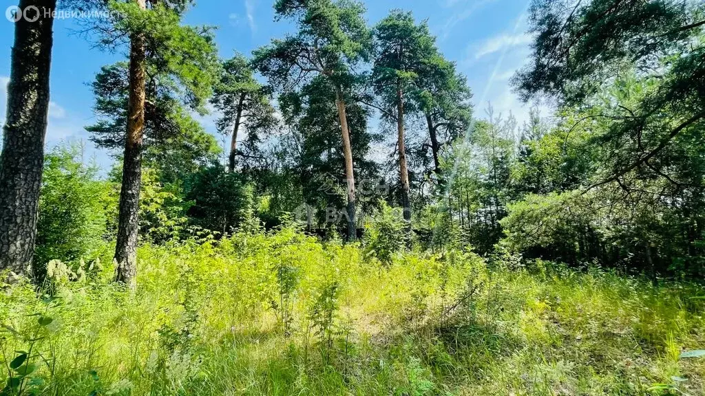 Участок в Ямкино, Украинская улица (12 м) - Фото 1