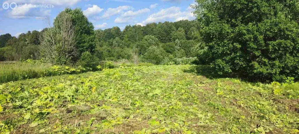 Участок в Сергиево-Посадский городской округ, деревня Посевьево (20 м) - Фото 2