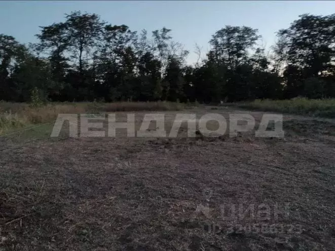 Участок в Ростовская область, Мясниковский район, Краснокрымское ... - Фото 2