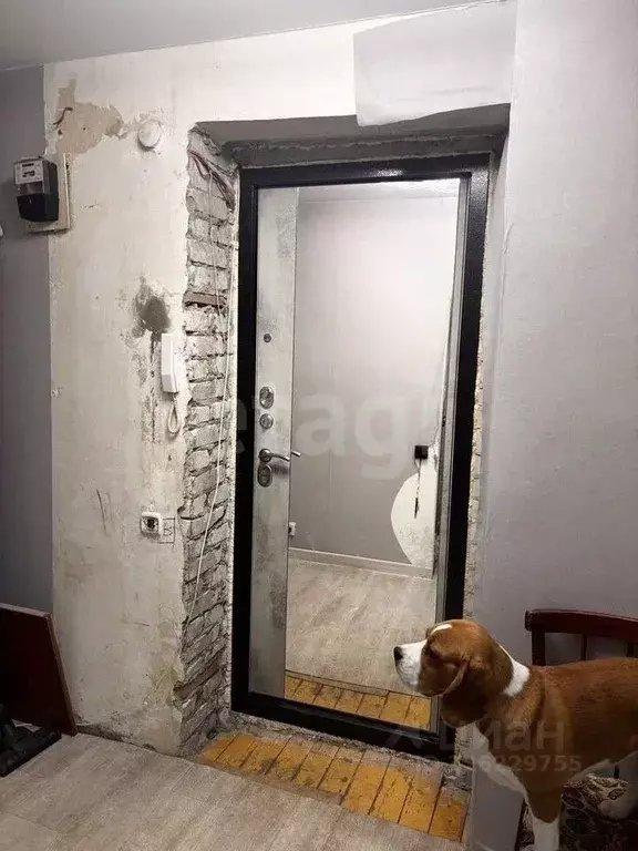 1-к кв. Курганская область, Курган Заозерный жилрайон, 11-й мкр, 15 ... - Фото 2