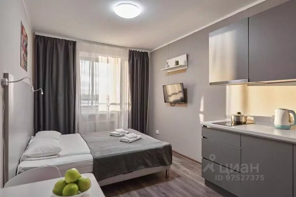 1-к кв. Санкт-Петербург Политехническая ул., 6 (23.0 м) - Фото 2