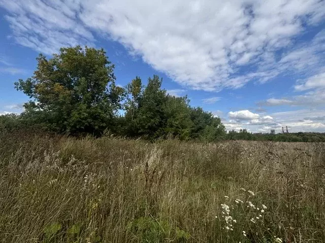 Участок в Московская область, Воскресенск городской округ, с. Ачкасово ... - Фото 1