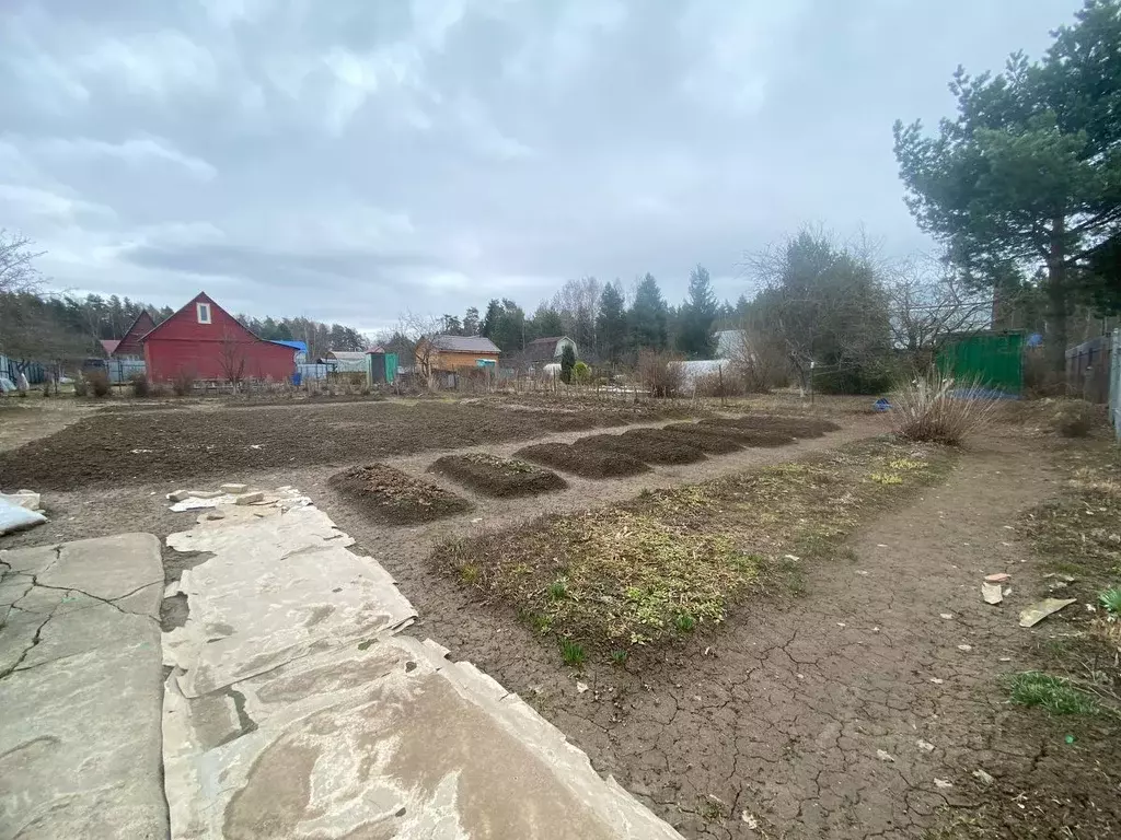 Участок в Владимирская область, Александровский район, Андреевское ... - Фото 0
