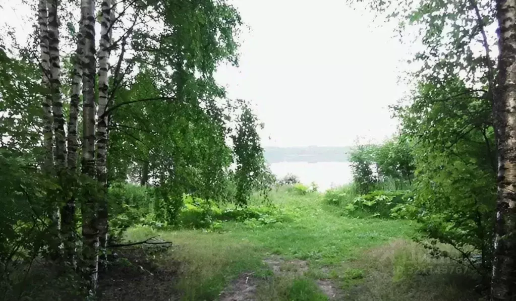 Участок в Новгородская область, Чудовский район, Успенское с/пос, ... - Фото 1