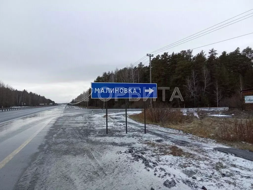 Участок в Тюменская область, Тюменский район, д. Малиновка ул. Вербная ... - Фото 1