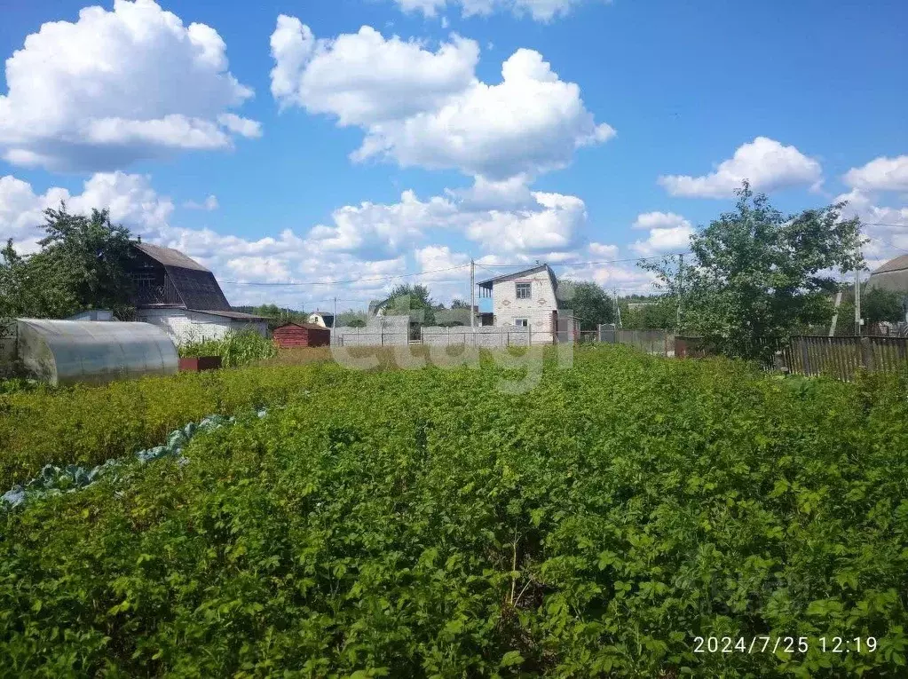 Дом в Брянская область, Брянский район, Новодарковичское с/пос, пос. ... - Фото 1