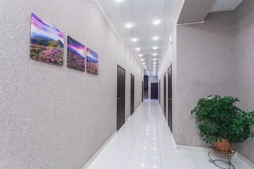 Комната Новосибирская область, Новосибирск ул. Толстого, 242 (10.0 м) - Фото 2