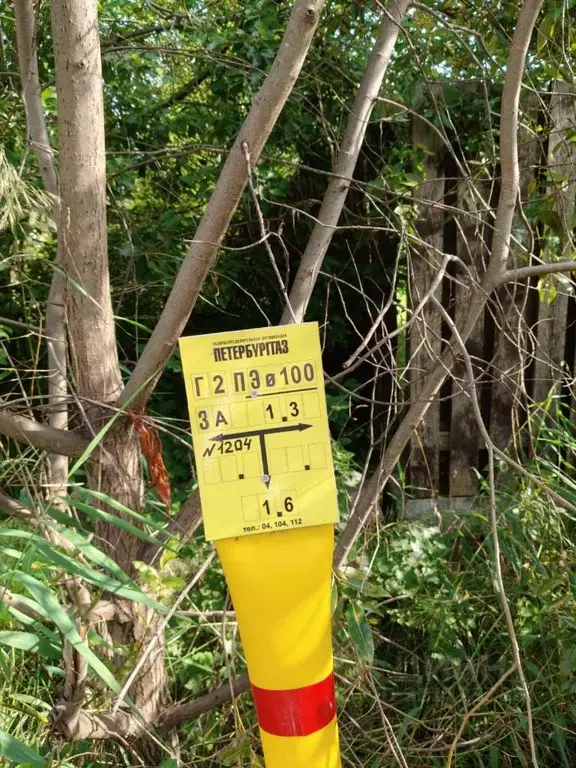 Участок в Санкт-Петербург, Санкт-Петербург, Пушкин Рехколово СНТ, ул. ... - Фото 2