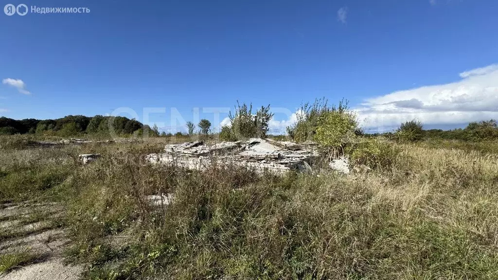 Участок в Мамоновский городской округ, посёлок Богдановка, Придорожная ... - Фото 1