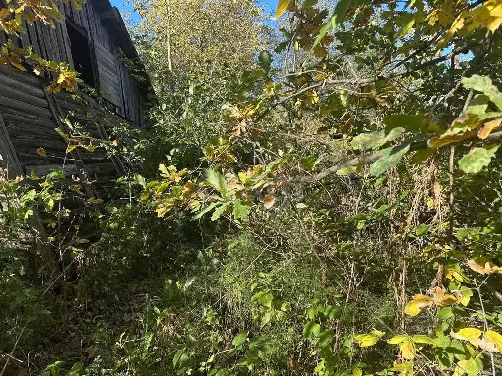 Участок в Тульская область, Узловая Садовый пер., 4 (9.28 сот.) - Фото 2