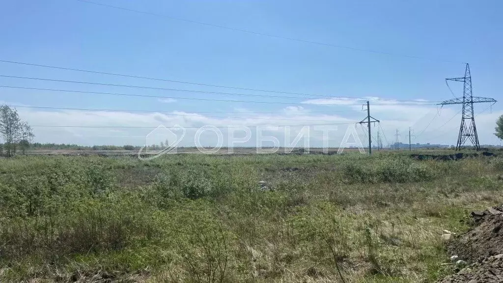 Участок в Тюменская область, Тюмень  (50.0 сот.) - Фото 1