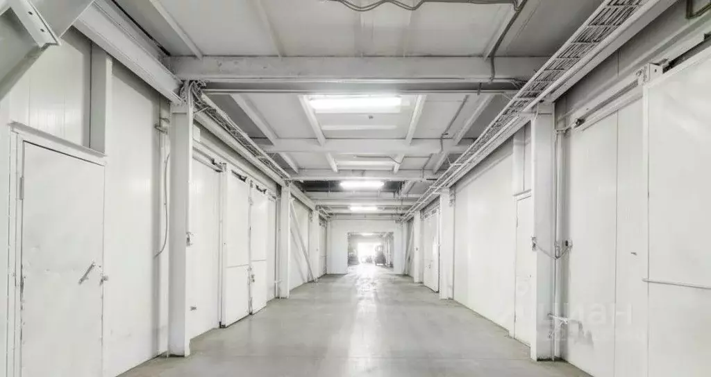 Производственное помещение в Ленинградская область, Тосненский район, ... - Фото 1