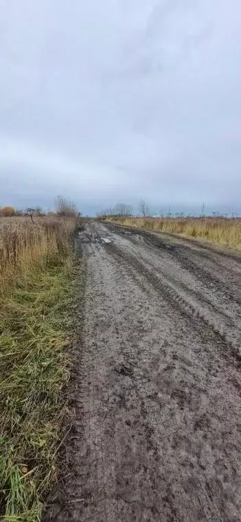 Участок в Владимирская область, Муром д. Орлово, ул. Советская, 1Д ... - Фото 1