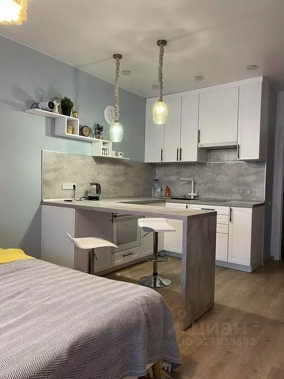 1-к кв. Тверская область, Калининский муниципальный округ, д. ... - Фото 2