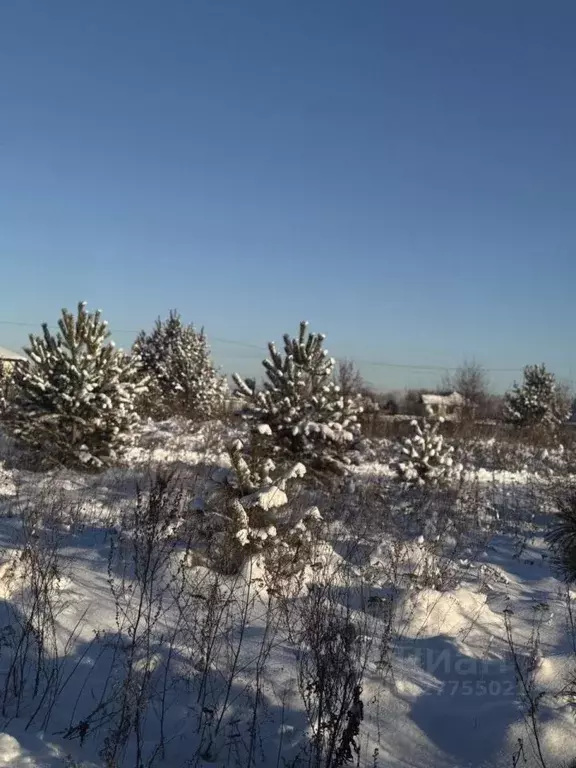 Участок в Челябинская область, Сосновский муниципальный округ, с. ... - Фото 2