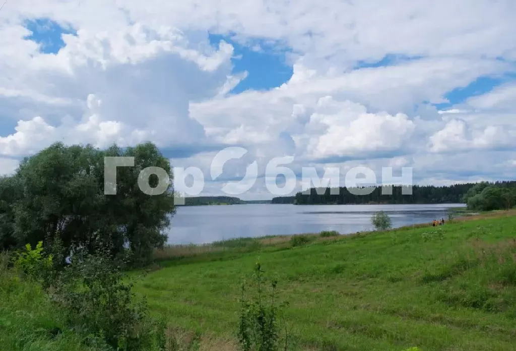 Продается участок в д. Сельская Новь - Фото 2